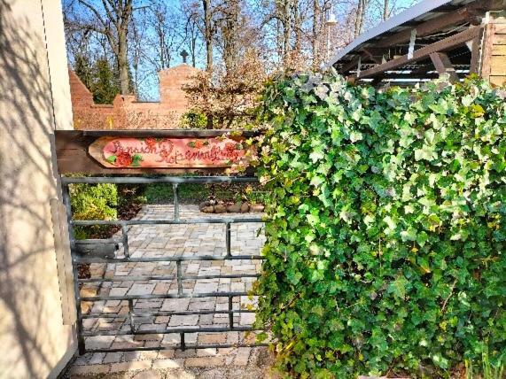 Appartement Rosenvilla Sedlitz